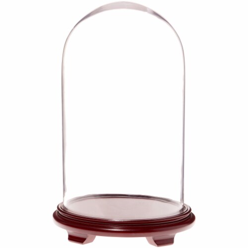 Plymor 11.75 x 20 Glass Display Dome Cloche (Red Wood Veneer Footed Base) Perspective: front