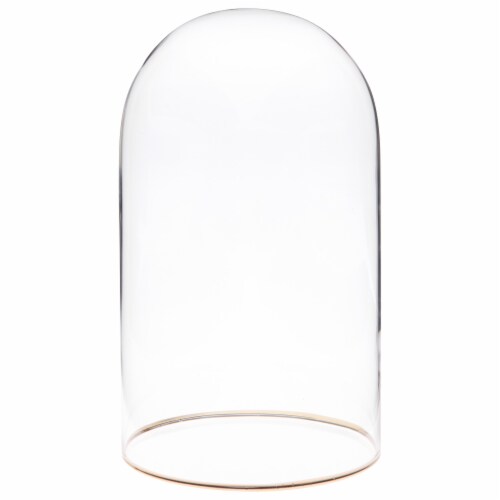 Plymor Glass Display Dome Cloche With Wood Veneer Jordan