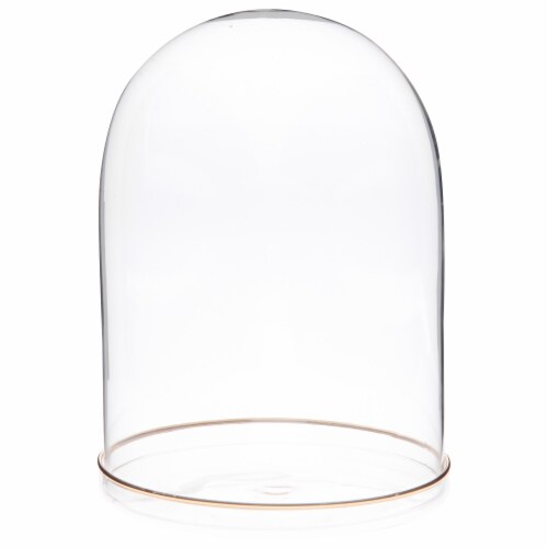 Plymor 5.5 x 8 Glass Display Dome Cloche (Gold Rim Glass Tray Base) Perspective: front