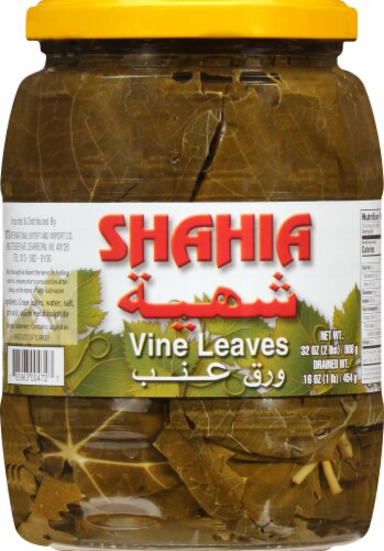 Shahia Grape Vine Leaves Perspective: front