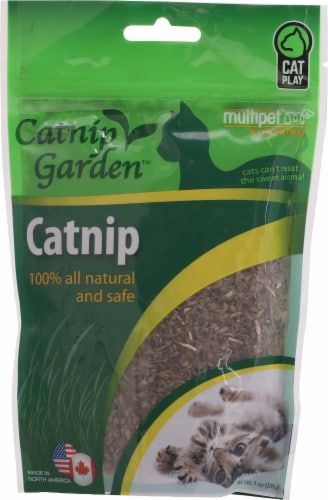 Multipet™ Cat Garden Catnip Perspective: front