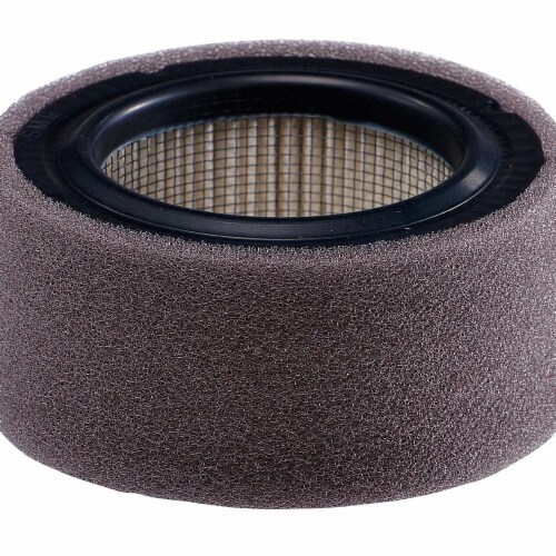 Johnson Controls Pneumatic Replacement Intake Filter A4000613, 1 Ralphs