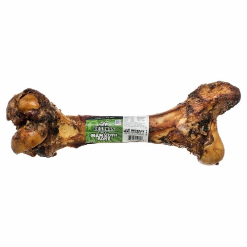 Red Barn Mammoth Beef Bone Perspective: front
