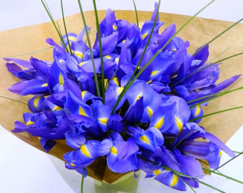 Sun Valley Floral Iris Bouquet Perspective: front