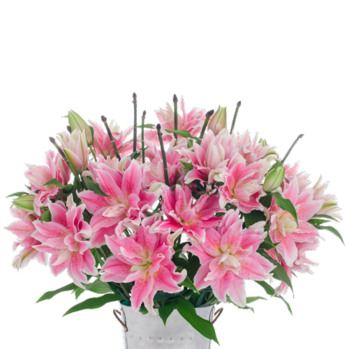 10-Stem Rose Lilies with Ponytail (Approximate Delivery is 1-3 Days) Perspective: front
