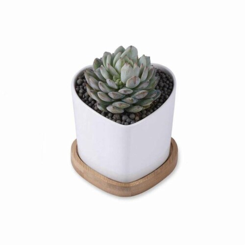 Cheungs 5658WT Rippled Ceramic Planter, White Perspective: front