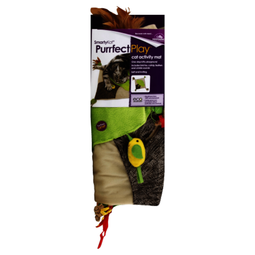 SmartyKat Purrfect Play Toy Perspective: front