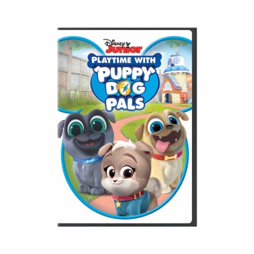 Playtime with Puppy Dog Palls (DVD) Perspective: front