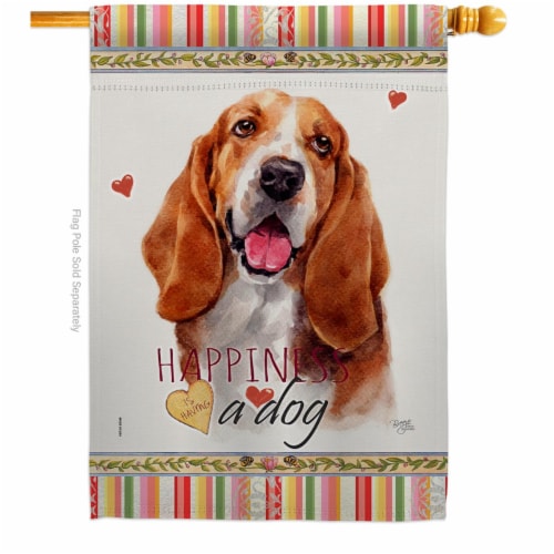 Basset x sale