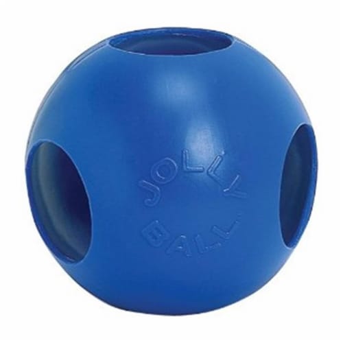 Jolly Pets 2218-BL-6 Fun Ball, Blue - 6 in. Hamster Perspective: front