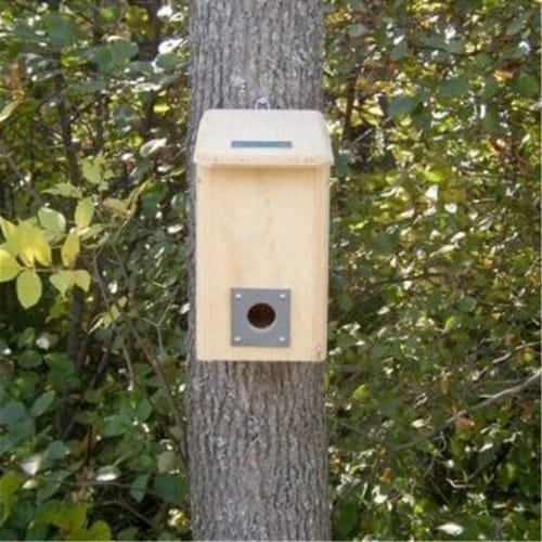Coveside Small Winter Roosting House Bird Roost Box Perspective: front