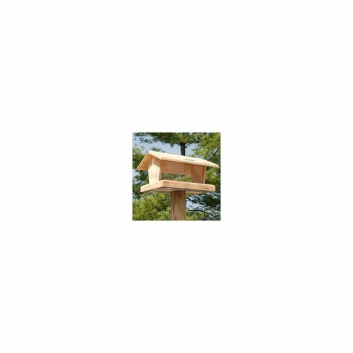 Coveside 11.75'' Hopper Feeder Bird Feeding - White Pine Perspective: front