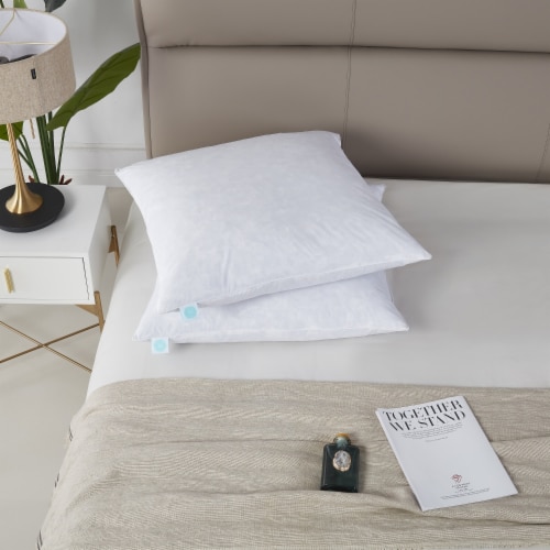 Martha Stewart Euro Feather Pillow - 26 in x 26 in Perspective: front
