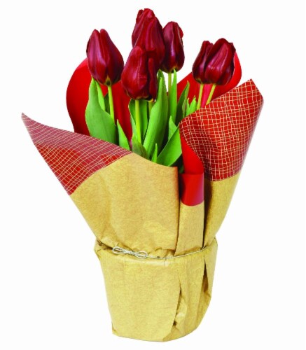 Potted Premium Tulips Assortment 6 Inch Perspective: front