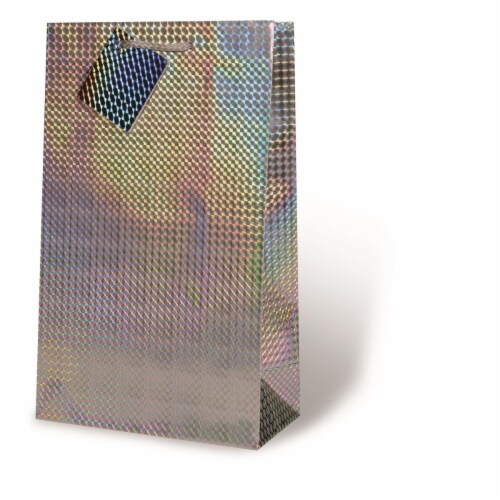 Wrap-Art 17211 2-Bottle Silver Foil Bag with Plastic Rope Handle Perspective: front