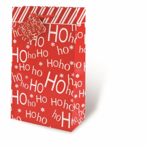 Wrap-Art 17212 2-Bottle HoHoHo Printed Papper Bag with Plastic Rope Handle Perspective: front