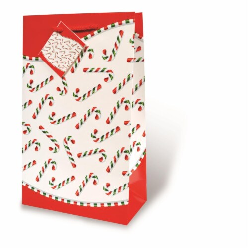 Wrap-Art 17311 2-Bottle Candy Canes Printed Papper Bag with Plastic Rope Handle Perspective: front