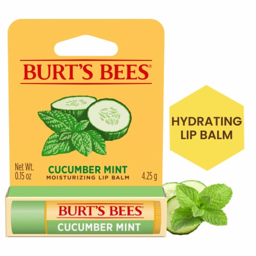 Burt's Bees Cucumber Mint Moisturizing Lip Balm Perspective: front