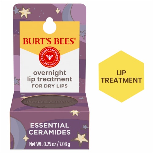 toeter inhalen Factuur Burt's Bees® Overnight Intensive Lip Treatment, 1 ct - Pay Less Super  Markets