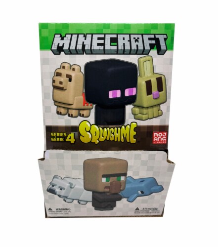 Minecraft SquishMe - CDU Perspective: front
