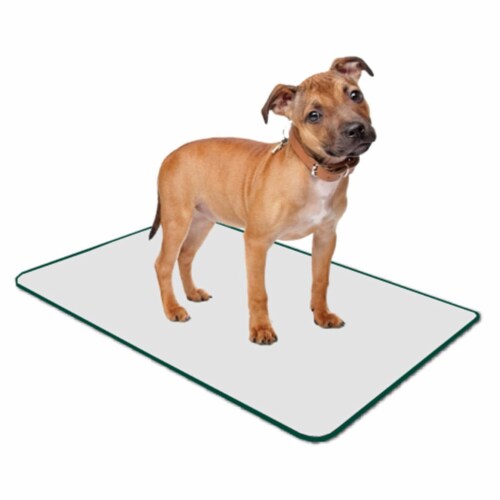 Poochpad indoor turf hotsell