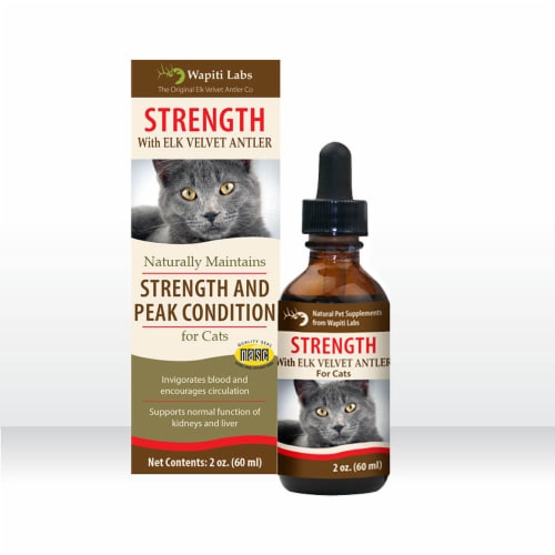 Wapiti Labs Cat Strength - Recovery Support, Overworked, Keep Cats in Peak Condition Perspective: front