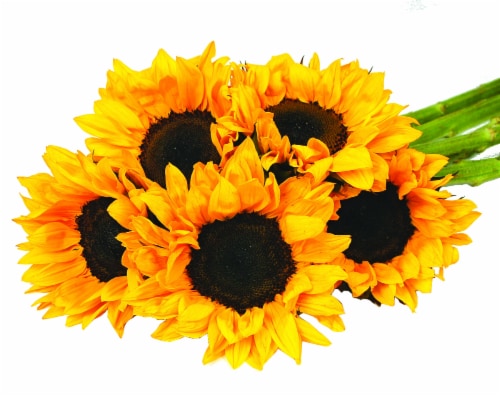 Sunflowers Perspective: front
