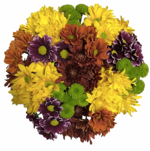 Jumbo Poms Assorted Bouquet Perspective: front