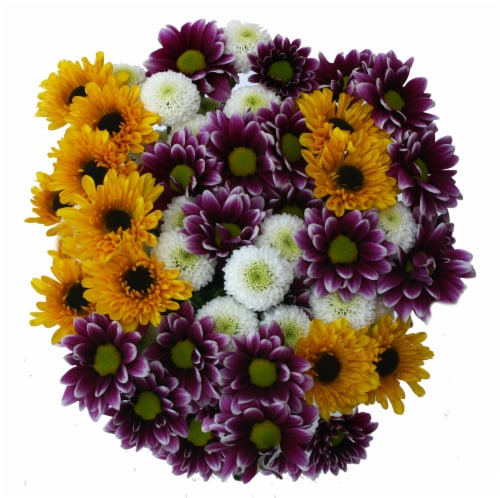 Jumbo Poms Assorted Bouquet Perspective: front