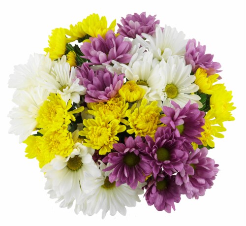 King shop soopers flowers
