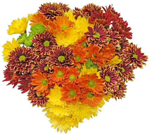 Fresh Picked Poms Fresh Cut Flower Bouquet Perspective: front