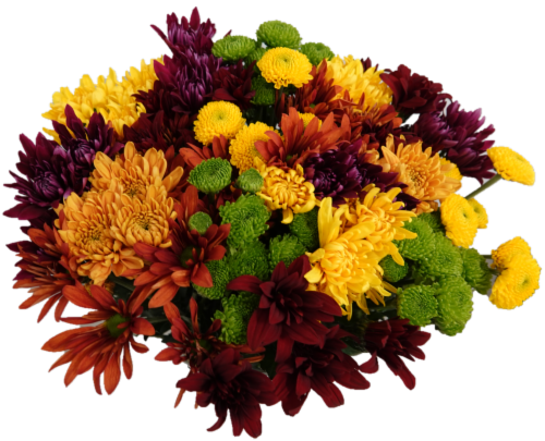 Florexpo POM Bunch Perspective: front