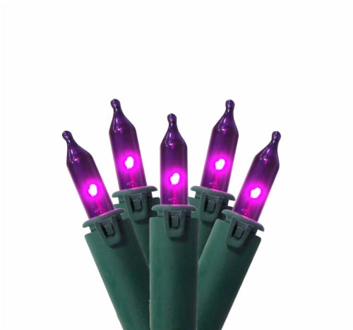 GKI/Bethlehem Lighting 100-Count Purple Commercial Grade Mini Christmas Light Set, 45.5ft Perspective: front