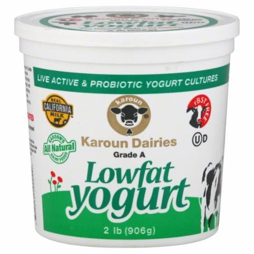 Karoun Dairies Lowfat Yogurt Perspective: front
