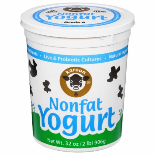 Karoun® Dairies Nonfat Yogurt Perspective: front