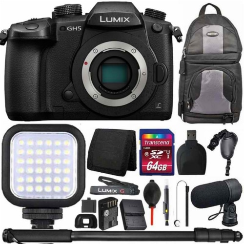 Panasonic Lumix Dc-gh5 Mirrorless Digital Camera (body Only