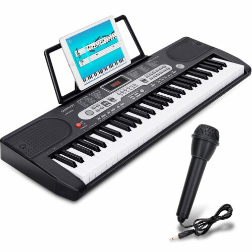 Yamaha psr store e463 microphone