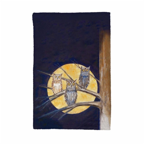 Betsy Drake KT248 Night Owl Kitchen Towel Perspective: front