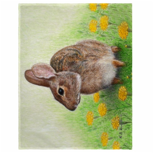 Betsy Drake PM053 14 x 18 in. Rabbit Place Mat - Set of 4 Perspective: front