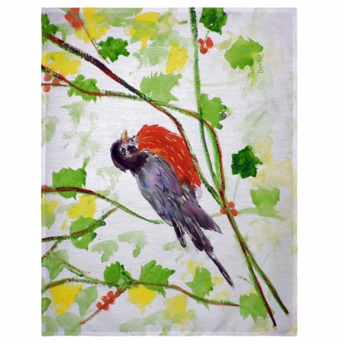 Betsy Drake PM164 14 x 18 in. Robin Place Mat - Set of 4 Perspective: front