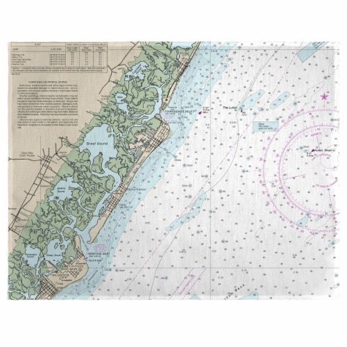 Betsy Drake PM12318AV 14 x 18 in. Little Egg Inlet to Hereford Inlet - Avalon, NH Nautical Ma Perspective: front