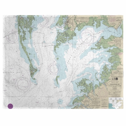 Betsy Drake PM240CH 14 x 18 in. Chesapeake Bay - Pocomoke & Tangier Sounds, VA Nautical Map P Perspective: front