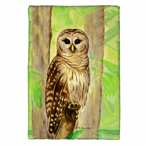 Betsy Drake KT240 Owl Kitchen Towel Perspective: front
