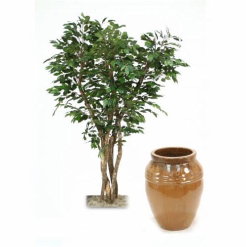7 ft. Canopy Ficus Tree in Extra Large Mocha Glazed Egg Pot Perspective: front