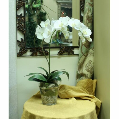 Waterlook Cream White Phaleanopsis Orchid with Whip Grass in Glass Flower Pot Vase Perspective: front