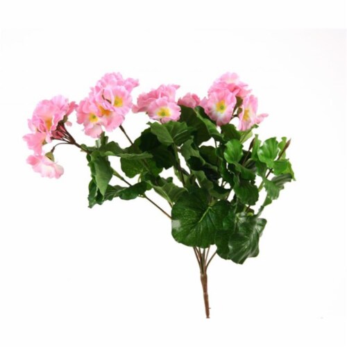 Primrose X 8 Bush, Fresh Rose - Pack of 12 Perspective: front