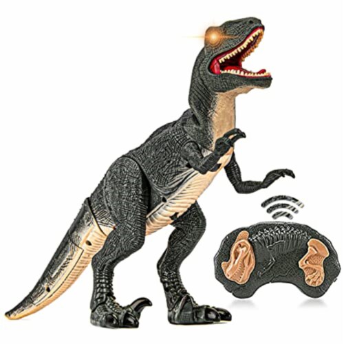 RemoteControlDinosaur Rain Bean Remote Control Walking Dinosaur Toy