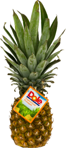 Tropical Pineapple Freshie Tropical Pineapple Freshie