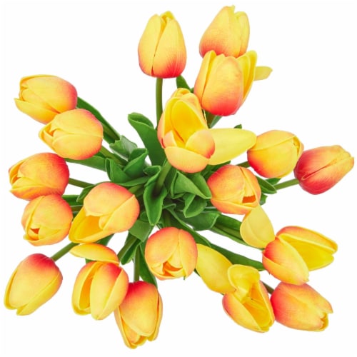 Fresh Cut Rainbow Tulips - 20 Stems Perspective: front