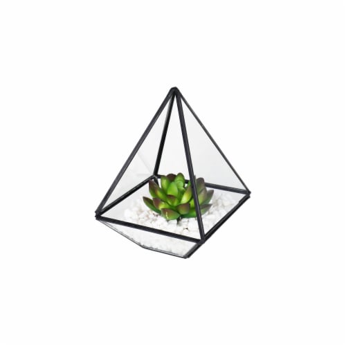 Bambeco Glass/Metal Pyramid Terrarium with Succulents Perspective: front